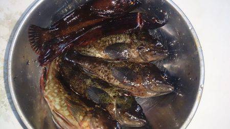 日中暖かかったので