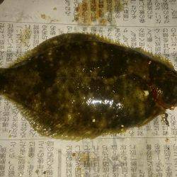 寒い中でも釣れる魚