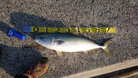 記録更新７０UP