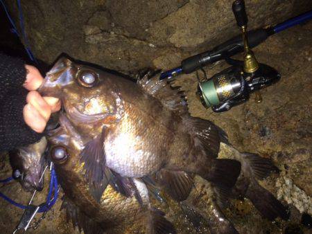 快釣　メバリング