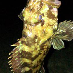 南甲子園浜オーブン戦