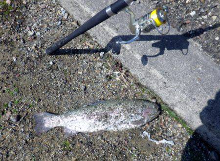 なんでオマエが？