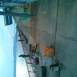 サヨリを狙いに行ったのに…