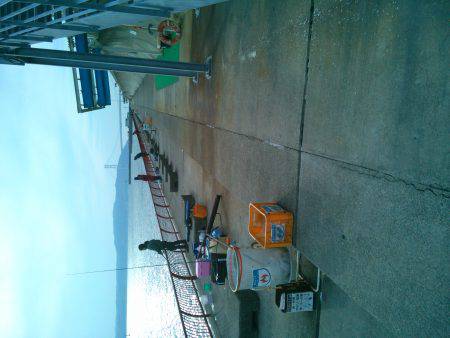 サヨリを狙いに行ったのに…