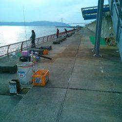 サヨリを狙いに行ったのに…