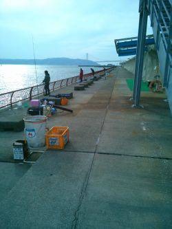 サヨリを狙いに行ったのに…