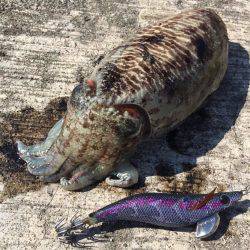 暖かい～(*￣∇￣*)