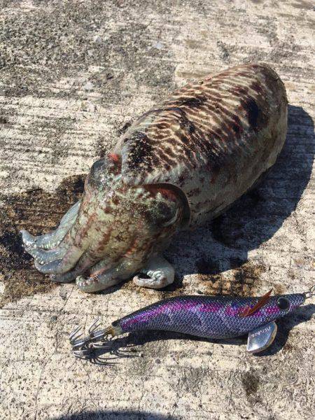 暖かい～(*￣∇￣*)