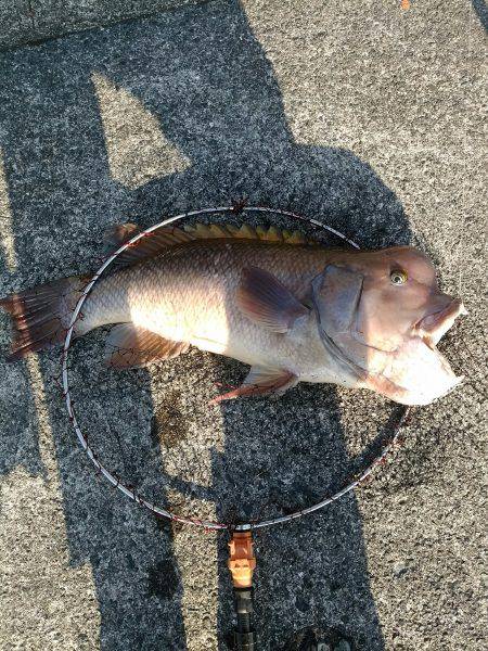 強烈モンスター！！