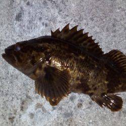 久しぶりの釣り