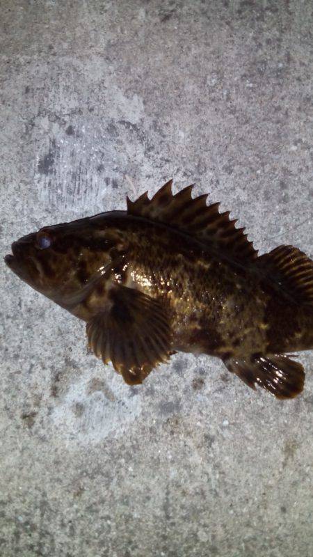 久しぶりの釣り