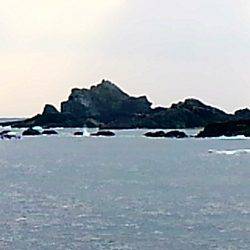 萩尾の磯でグレ釣り