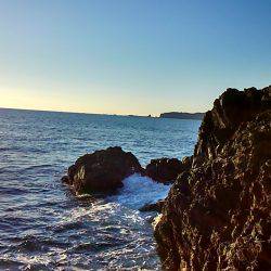 勝浦鶴島でグレ釣り