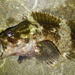 久しぶりに行って来ました！