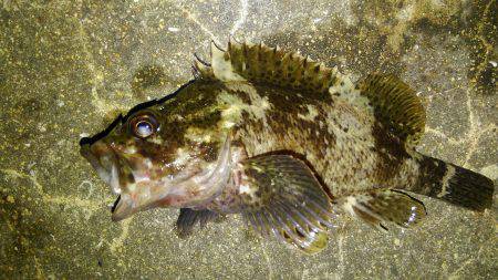 久しぶりに行って来ました！