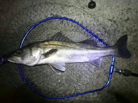 また仕事帰りに行っちゃいました…