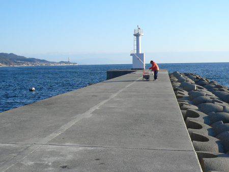 貴重なキス２匹