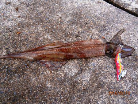 イカリングが食べたくて♪