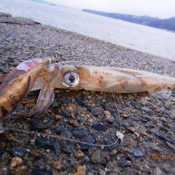 極寒・・・・修行!