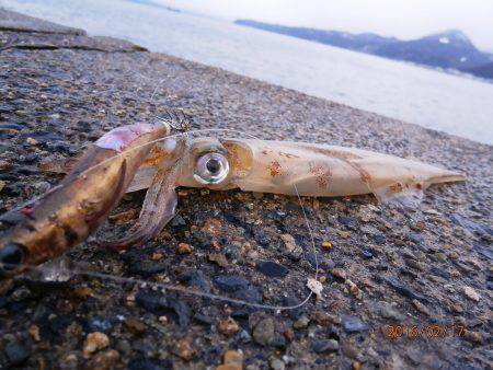 極寒・・・・修行！