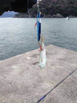 フックはしっかり研ぎましょう