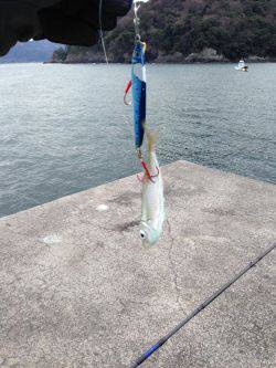 フックはしっかり研ぎましょう