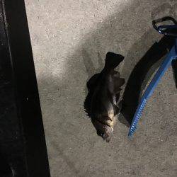 やっぱり寒いです