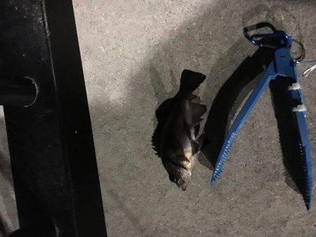 やっぱり寒いです