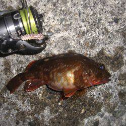 メバリングのはずがσ^_^;