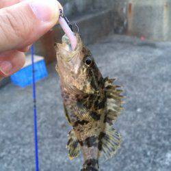 渋かったです。