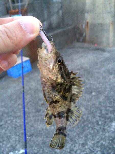 渋かったです。