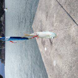 フックはしっかり研ぎましょう