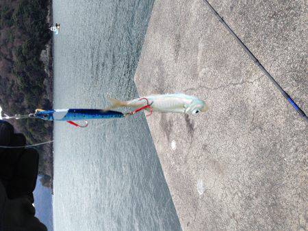 フックはしっかり研ぎましょう