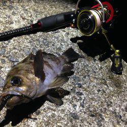 好きなワームのカラー。