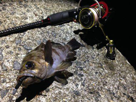 好きなワームのカラー。