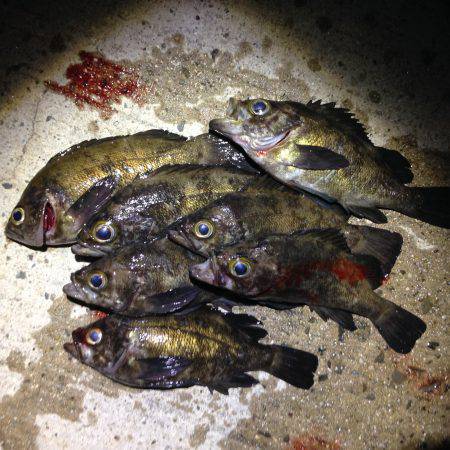 後半入れ食いϵ( \'Θ\�…