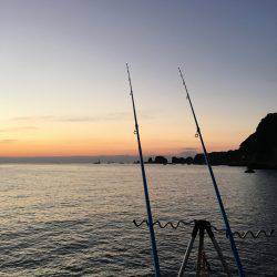 串本ハゲ狙い釣行