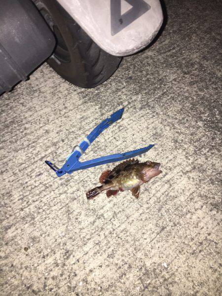 雨が上がってたので