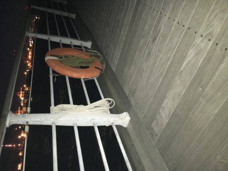 初めてのポイントですけど