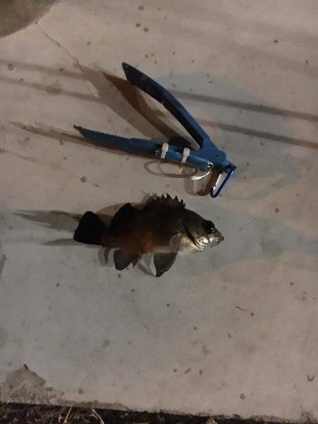 平日なのに超満員