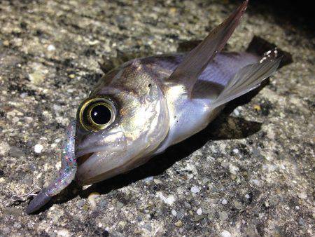 満潮までやろう！