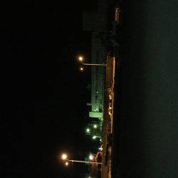 最後にやっと釣れました。