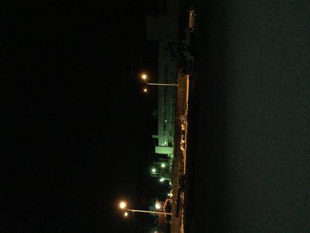 最後にやっと釣れました。