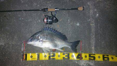 嬉しいゲスト、キビレﾁｬﾝ