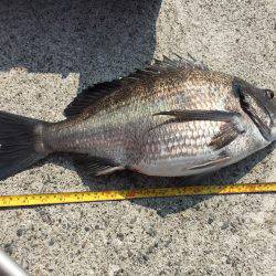 ノッコミ到来？！