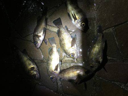 坊主は、誰だー