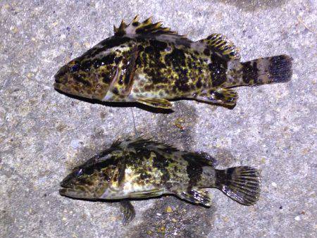 タケノコニョッキ！