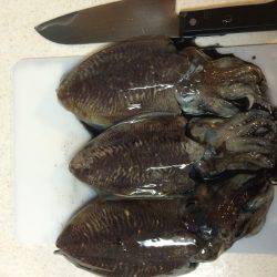 コウイカエギング