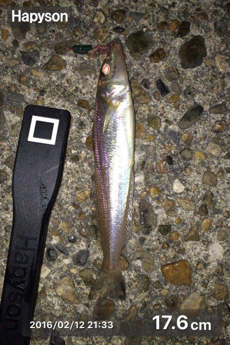 久しぶりのメバリング