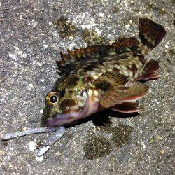 雨が降る前に一振り。